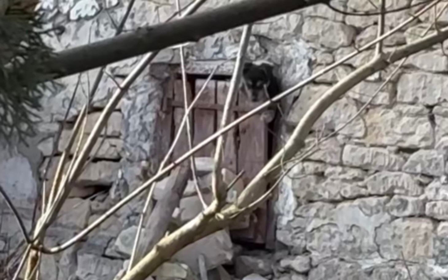 
        Zniszczone drzwi w ruinach budynku.
    