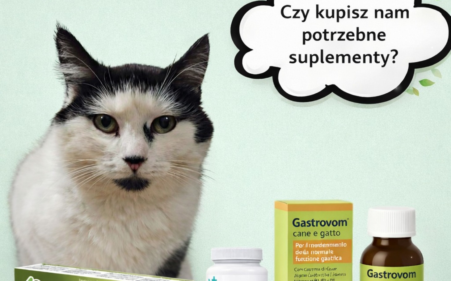
        Kot z suplementami, pytanie o wsparcie dla zwierząt.
    