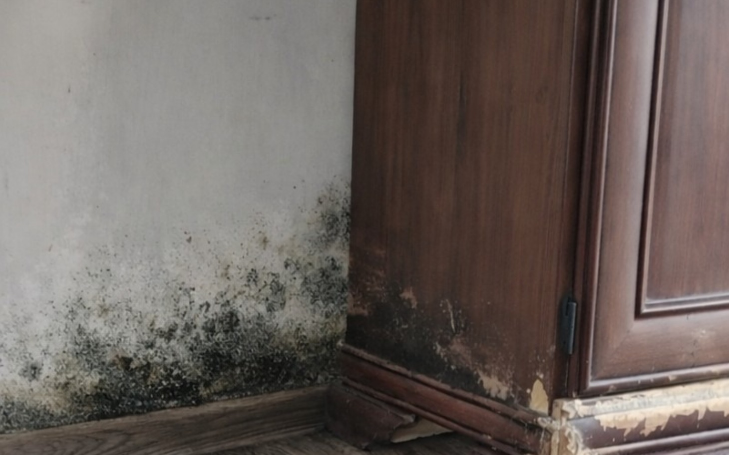 
        Zniszczona ściana z pleśnią w kącie pokoju.
    