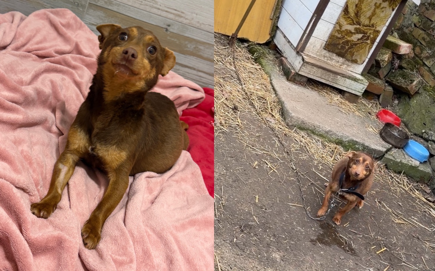 
        Zbiórka Dla ratowanych w niedzielę - zdjęcie główne
    