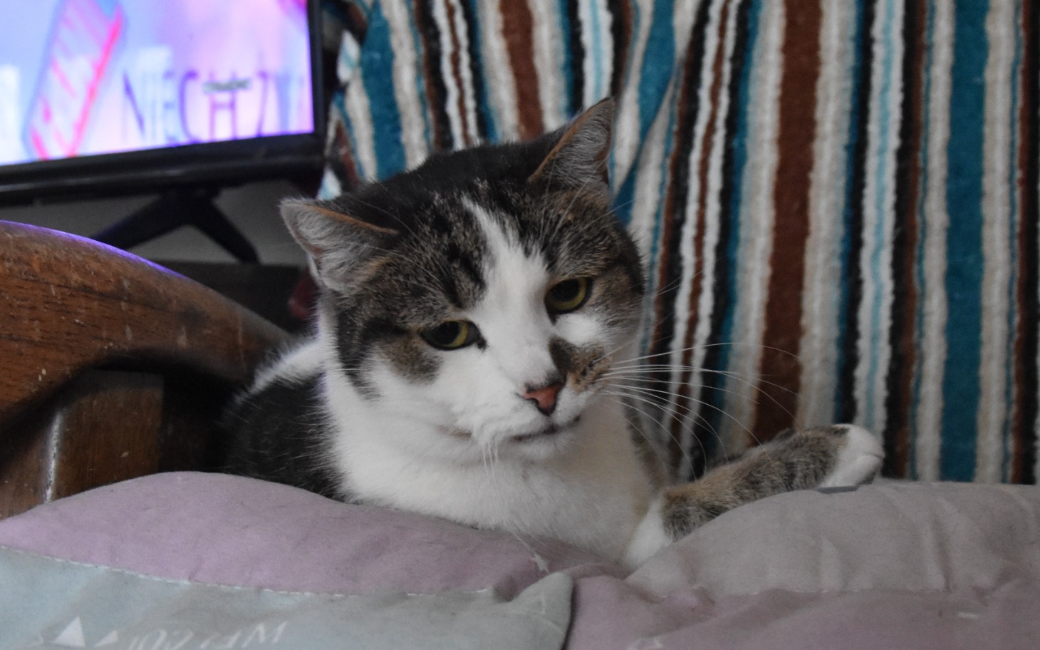 
        Zbiórka Dwie choroby - jedno życie... - zdjęcie główne
    