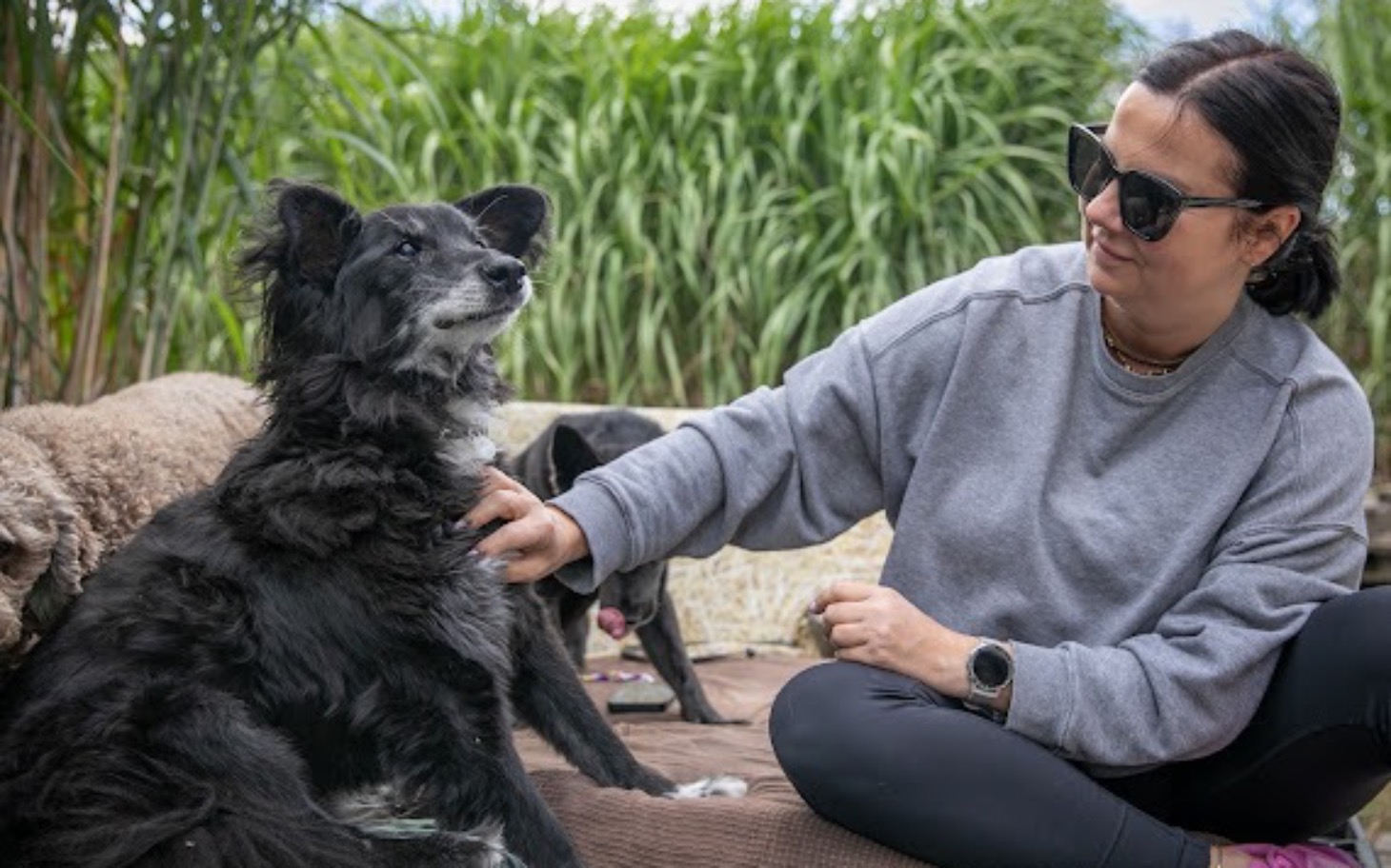 
        Kobieta głaszcząca czarnego psa w otoczeniu zieleni.
    