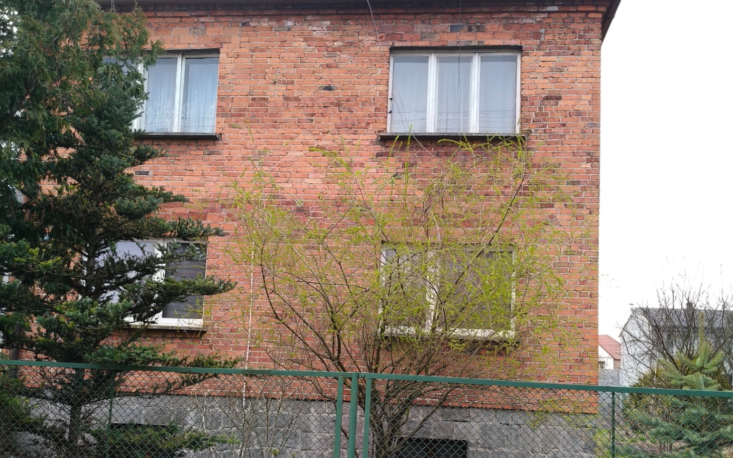 
        Czerwony budynek z oknami i drzewem przed nim.
    