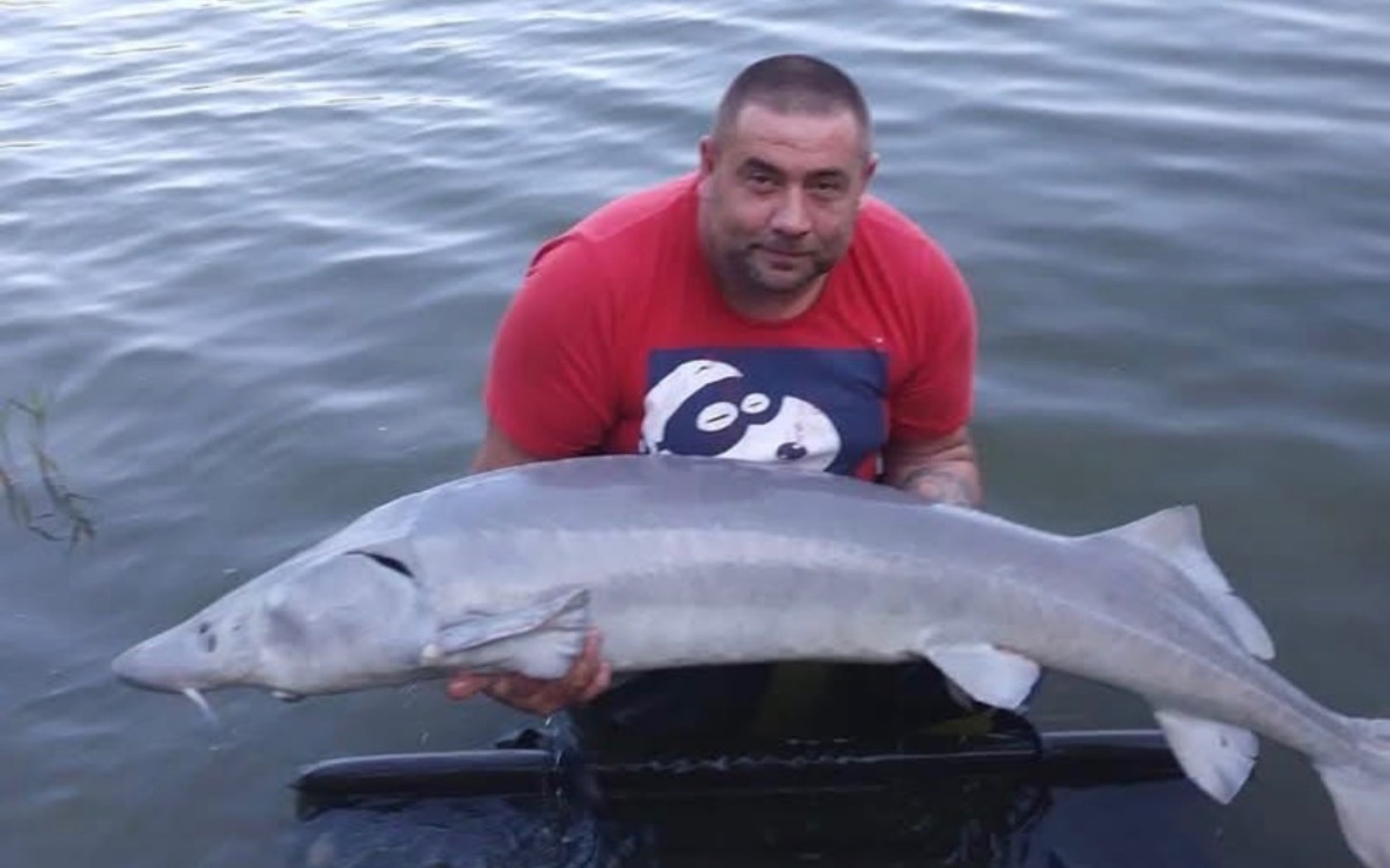 
        Mężczyzna trzymający dużą rybę w wodzie.
    