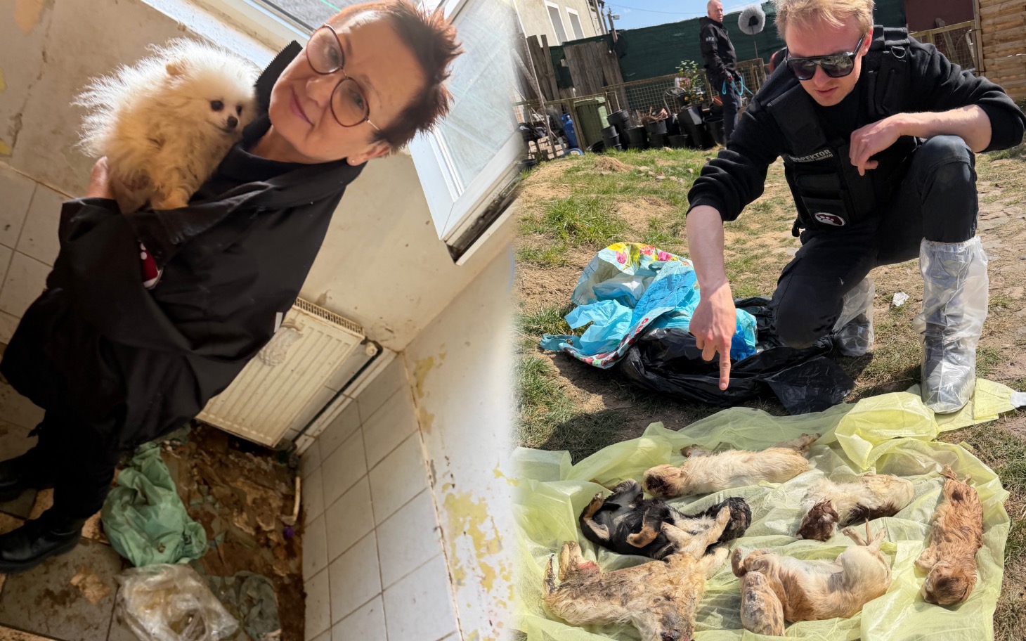 
        Kobieta trzymająca małego psa w brudnym pomieszczeniu.
    