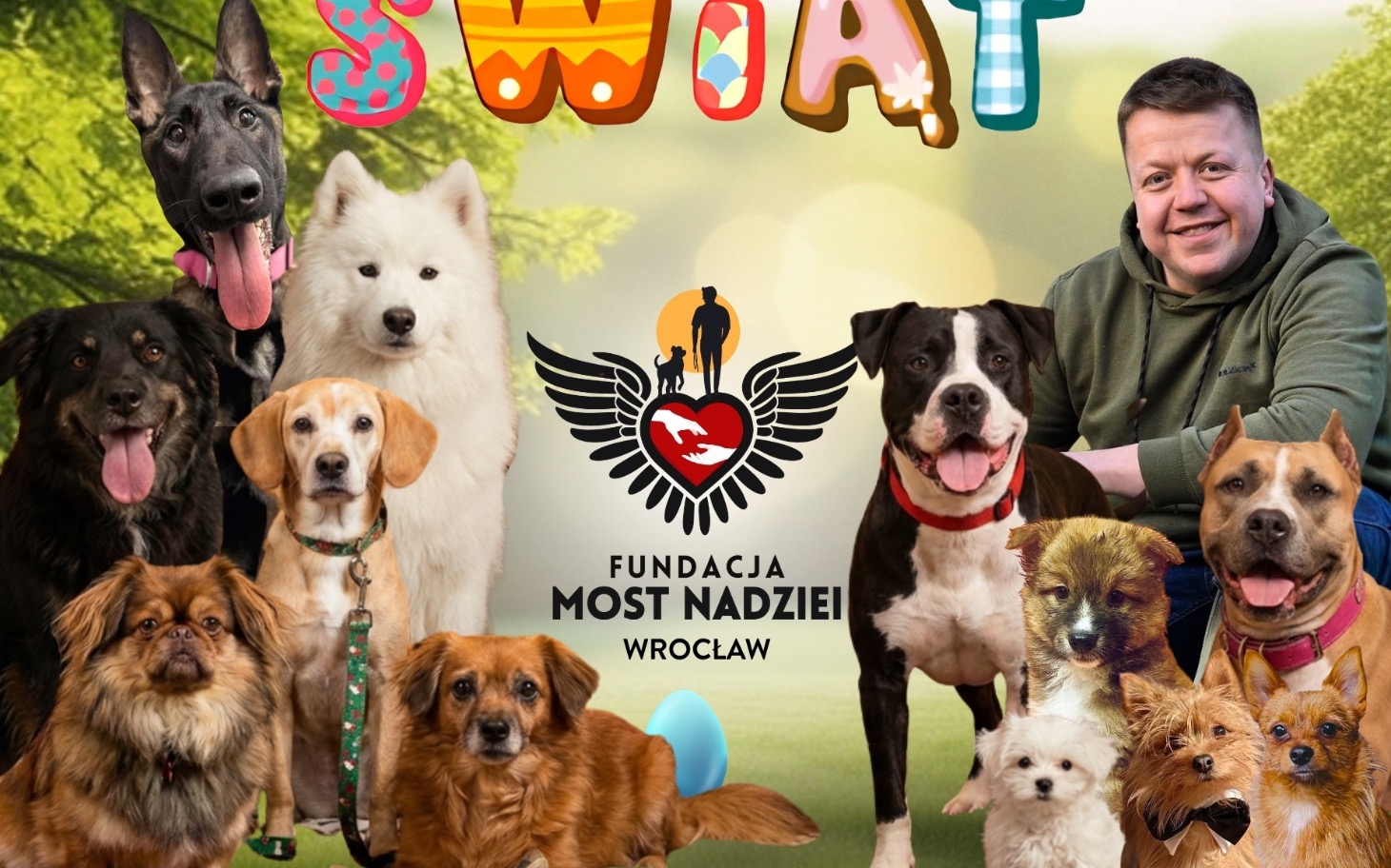 
        Grupa psów z fundacji, promująca adopcję.
    