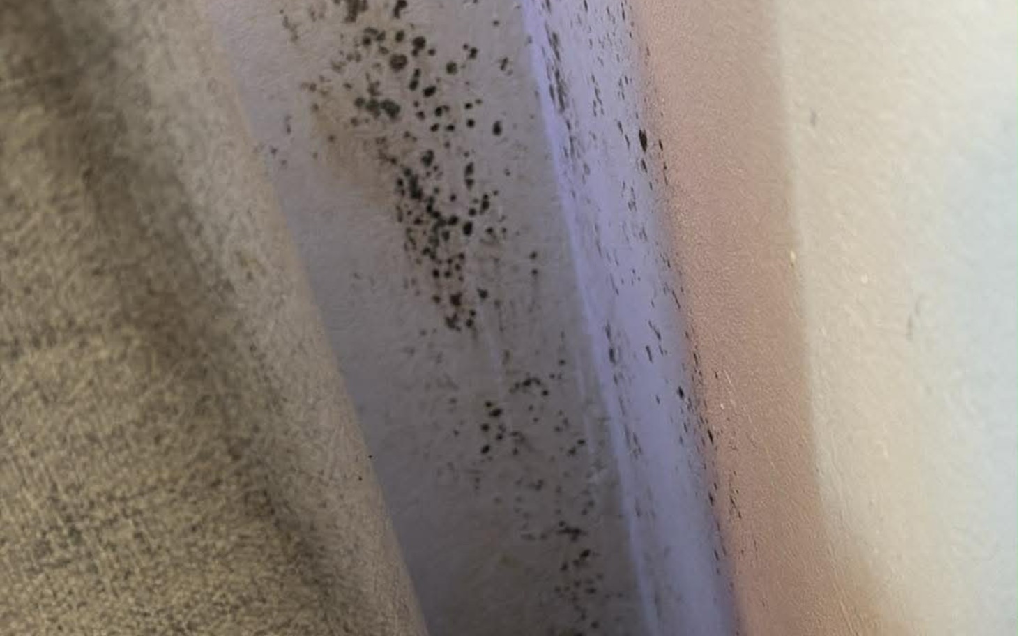 
        Zbliżenie na pleśń na ścianie, wskazująca na problem z wilgocią.
    