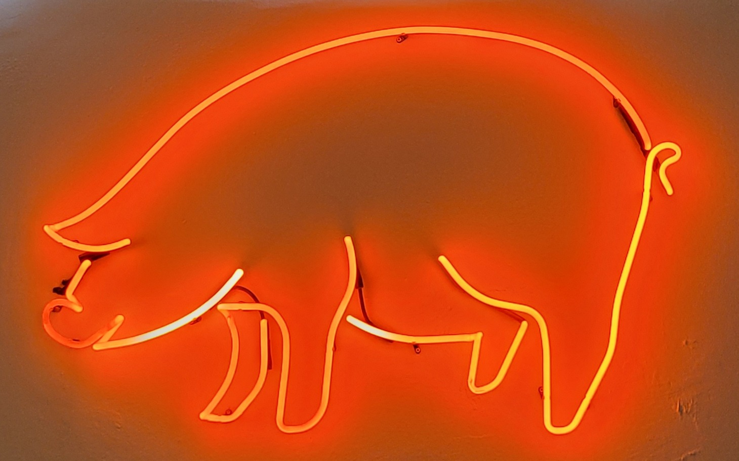 
        Neon w kształcie świni na ścianie.
    
