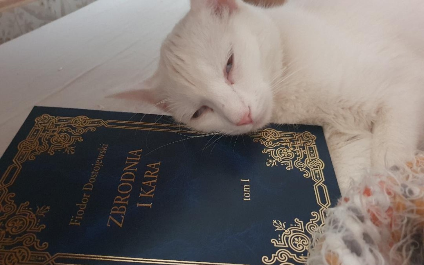 
        Biały kot leżący na książce Dostojewskiego, z zamkniętymi oczami.
    