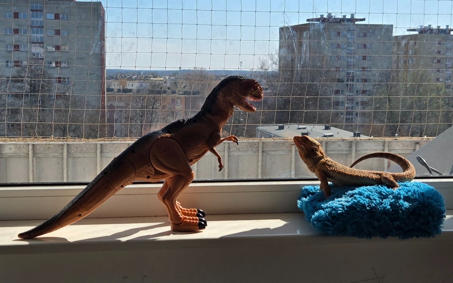 
        Zbiórka Zwierzęta potrzebują pomocy! - zdjęcie główne
    