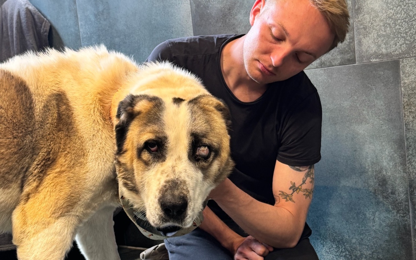 
        Pies z opiekunem, chwile pełne miłości i troski.
    