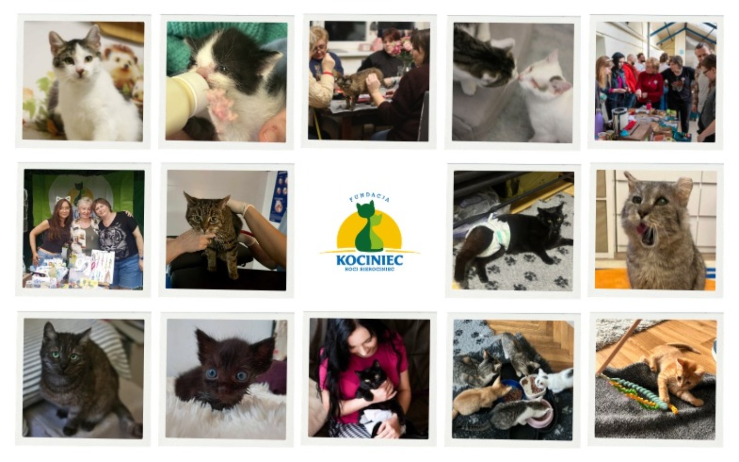 
        Kolaż zdjęć kotów i ludzi, promujący fundację.
    