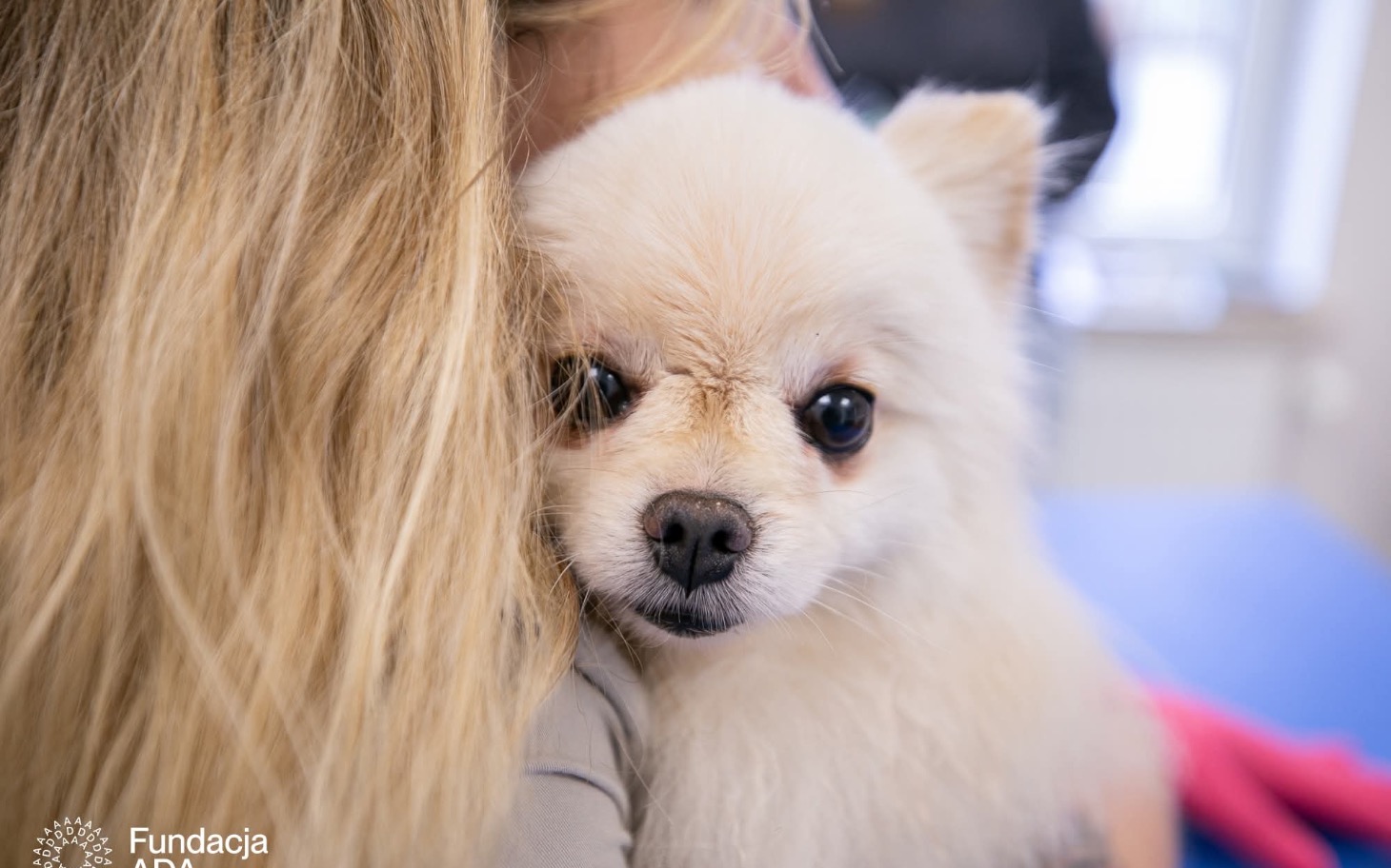 
        Działania na rzecz dzieci z niepełnosprawnościami.
    