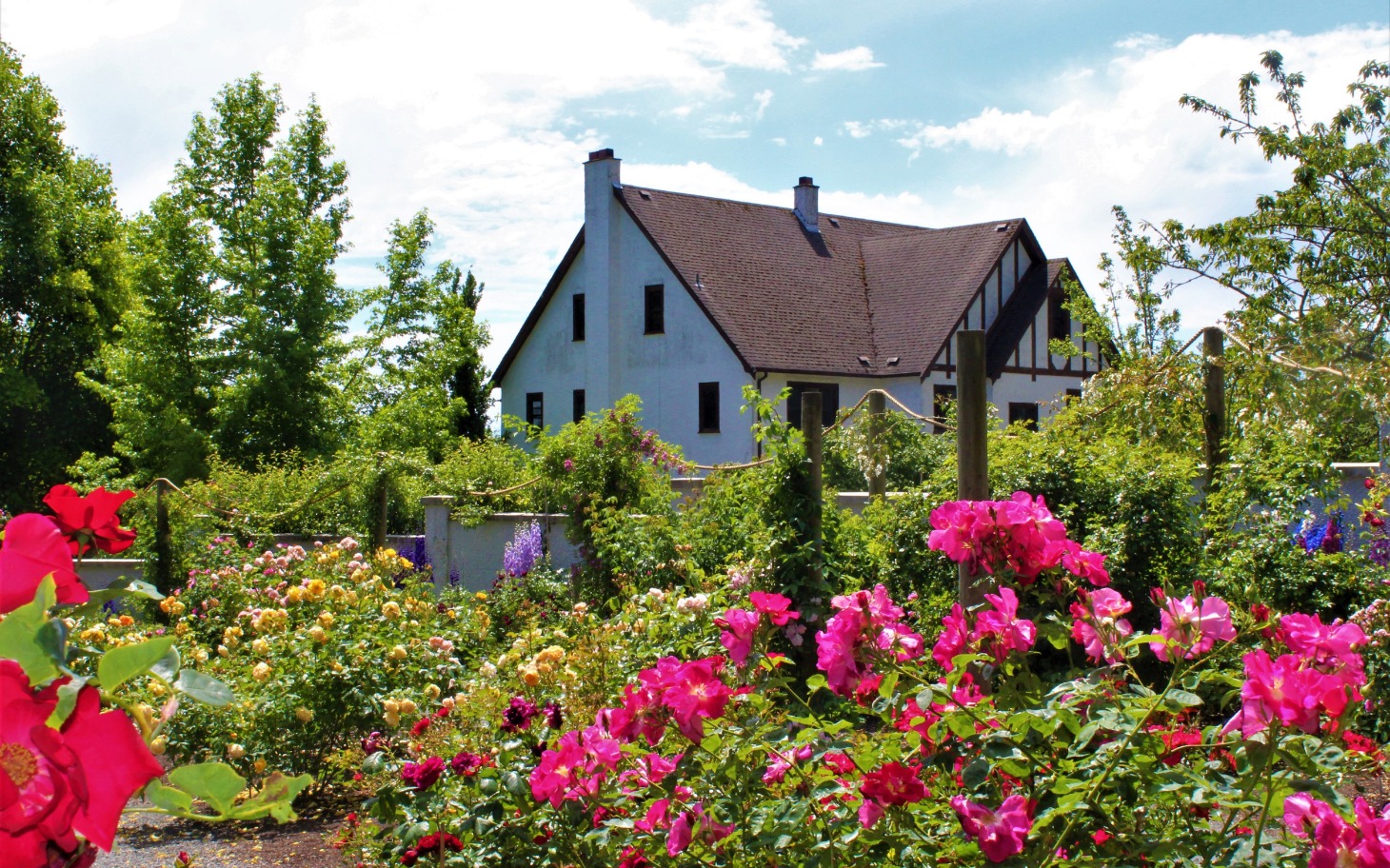 
        Dom otoczony kwiatami w ogrodzie, piękny widok.
    