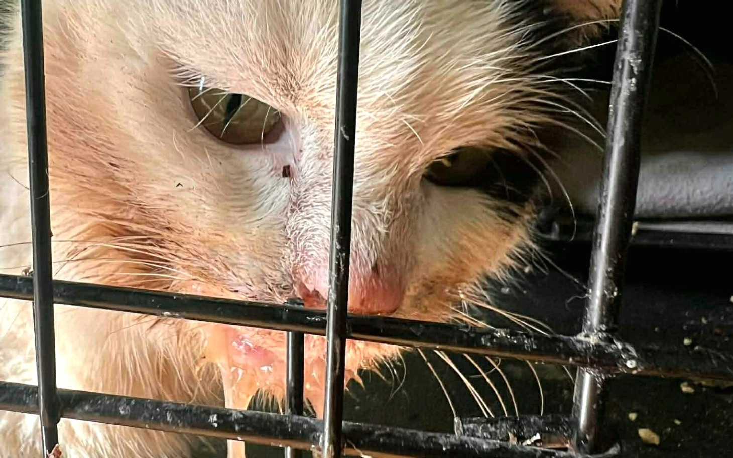 
        Zestaw kamer monitorujących z ekranem dotykowym.
    