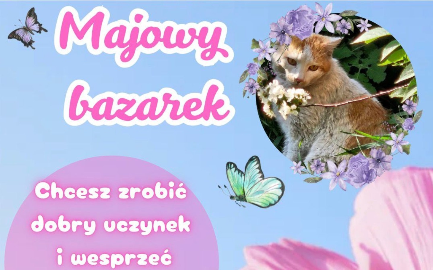 
        Plakat z kotem, zachęcający do wsparcia akcji charytatywnej.
    