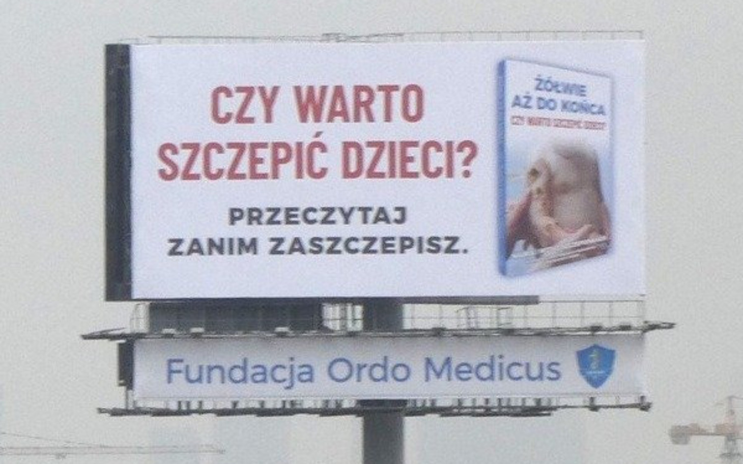 
        Zbiórka Billborad "Żółwie aż do końca" - zdjęcie główne
    