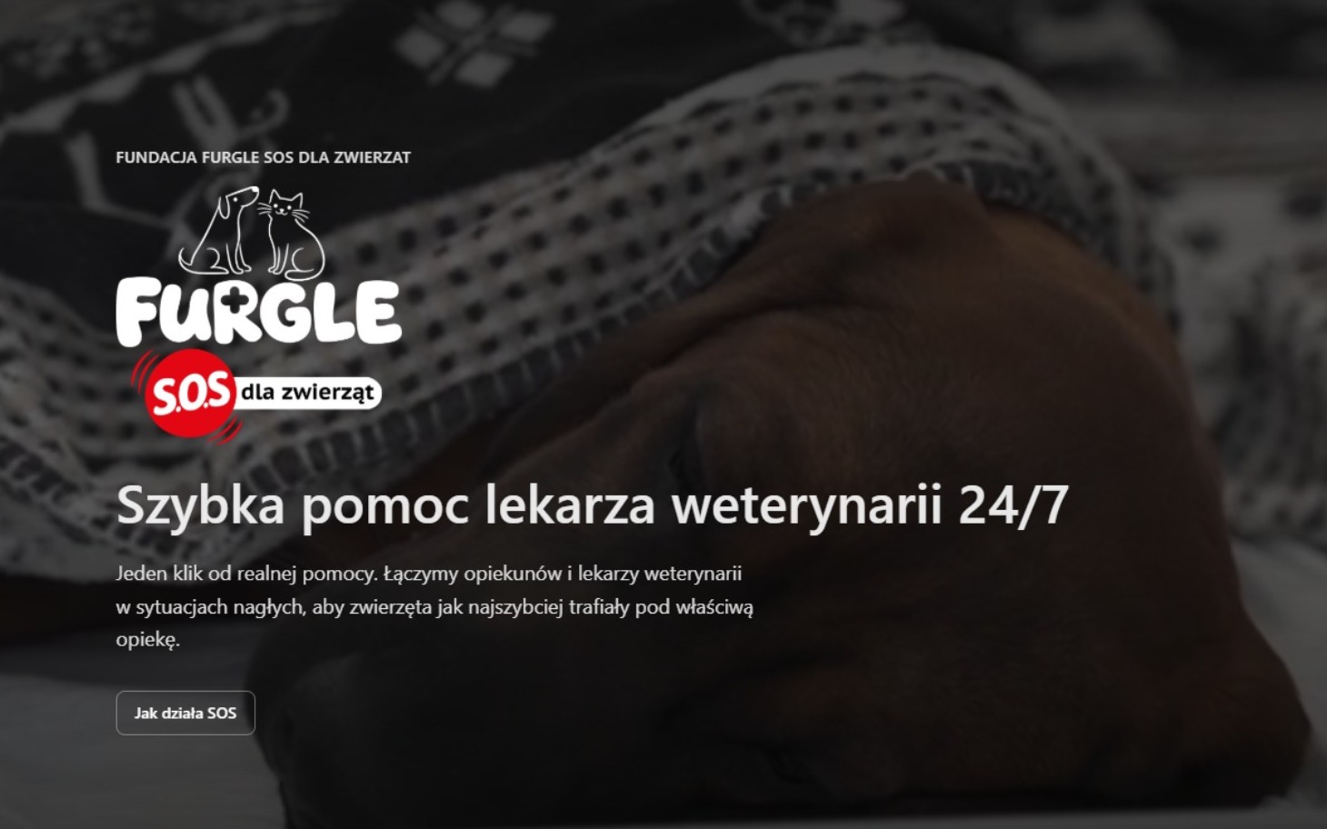 
        Strona internetowa oferująca pomoc weterynaryjną 24/7.
    