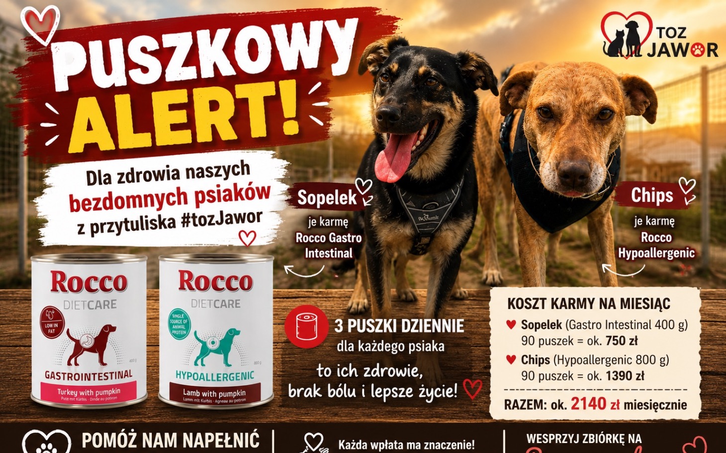 
        Plakat z psami i karmą dla zwierząt.
    
