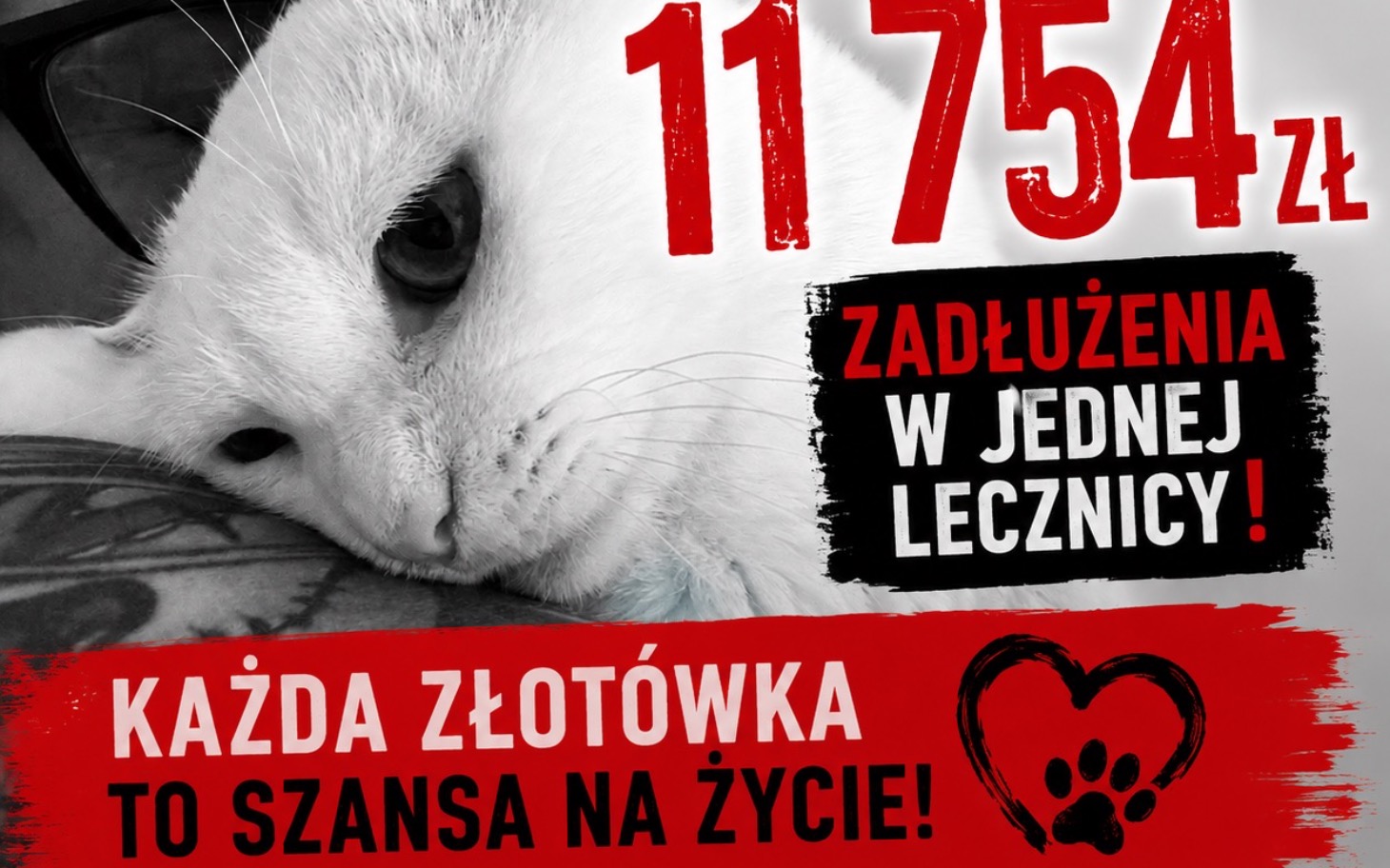 
        Plakat z informacją o zadłużeniu w lecznicy.
    