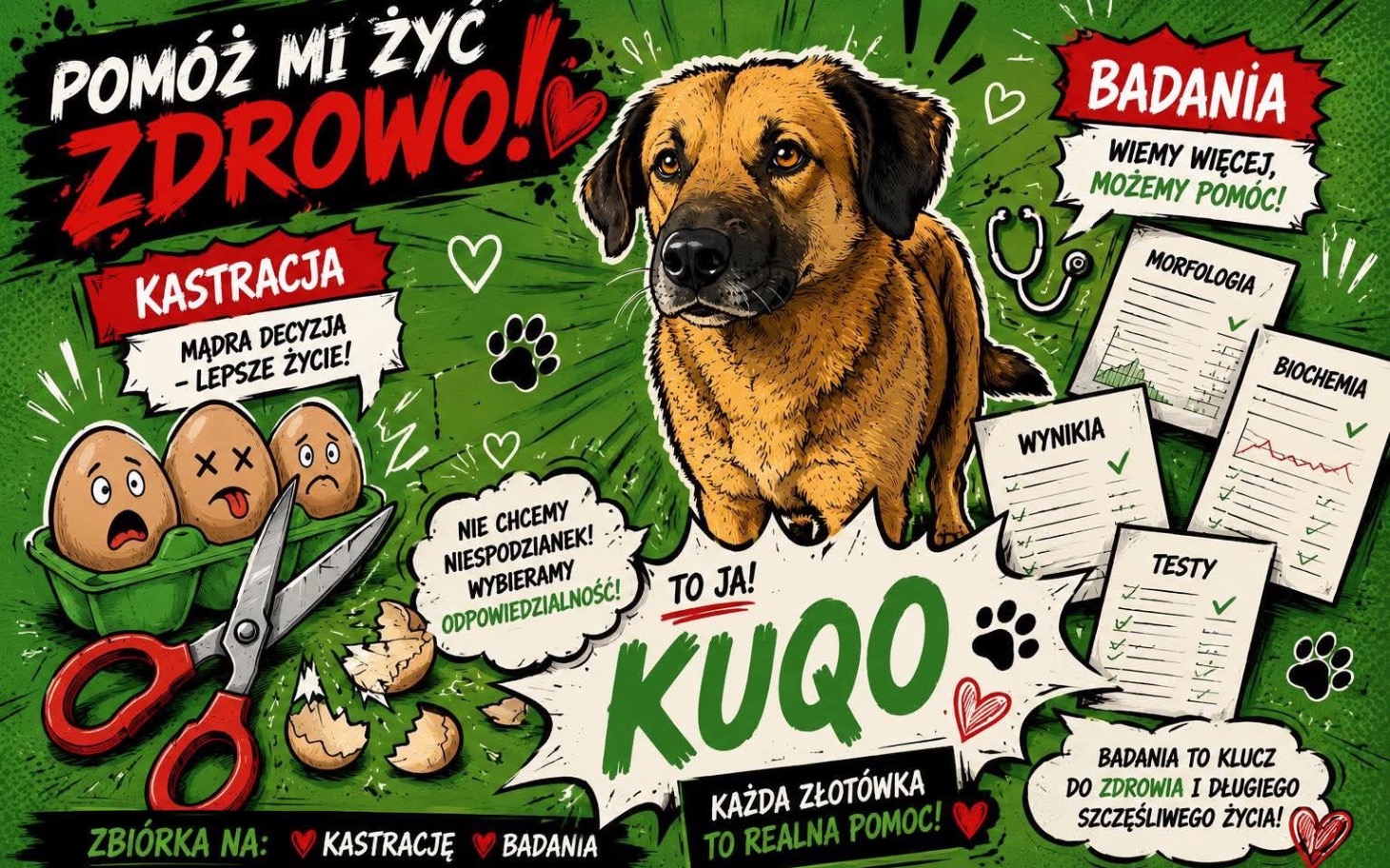 
        Ilustracja psa z informacjami o kastracji i badaniach.
    