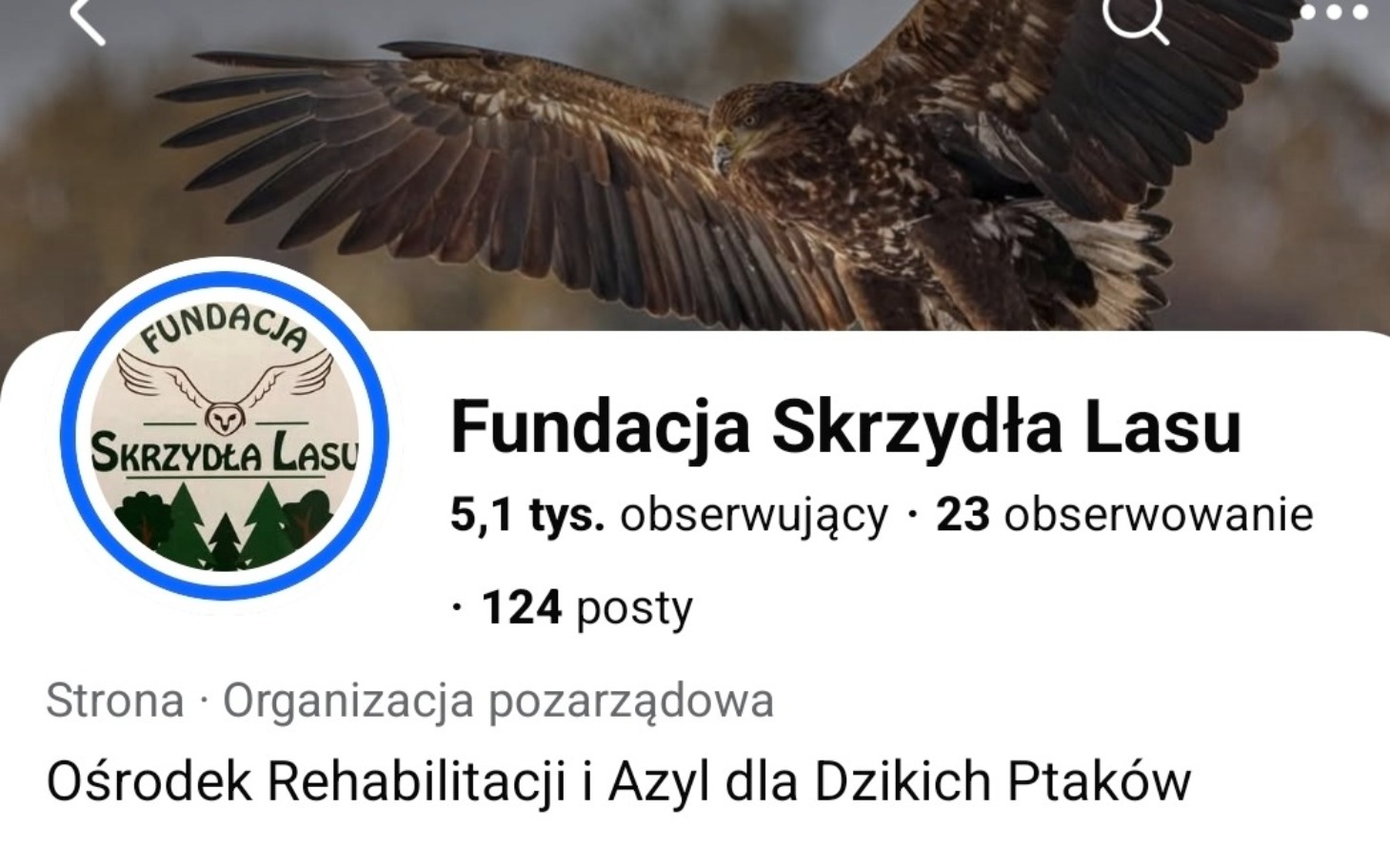 
        Logo fundacji zajmującej się rehabilitacją dzikich ptaków.
    