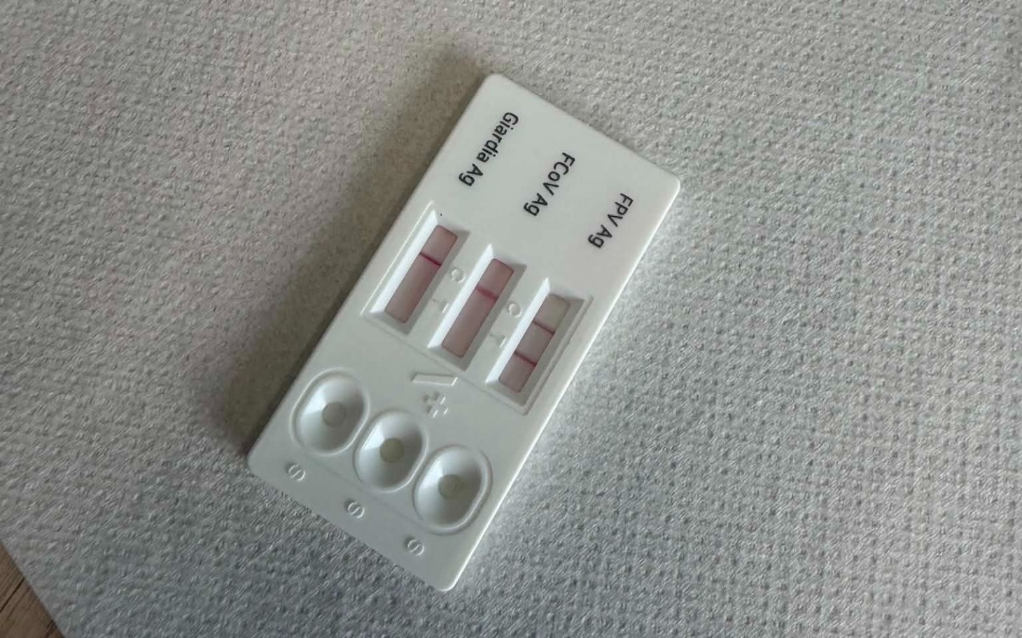 
        Test ciążowy z dwoma różowymi paskami na tle.
    