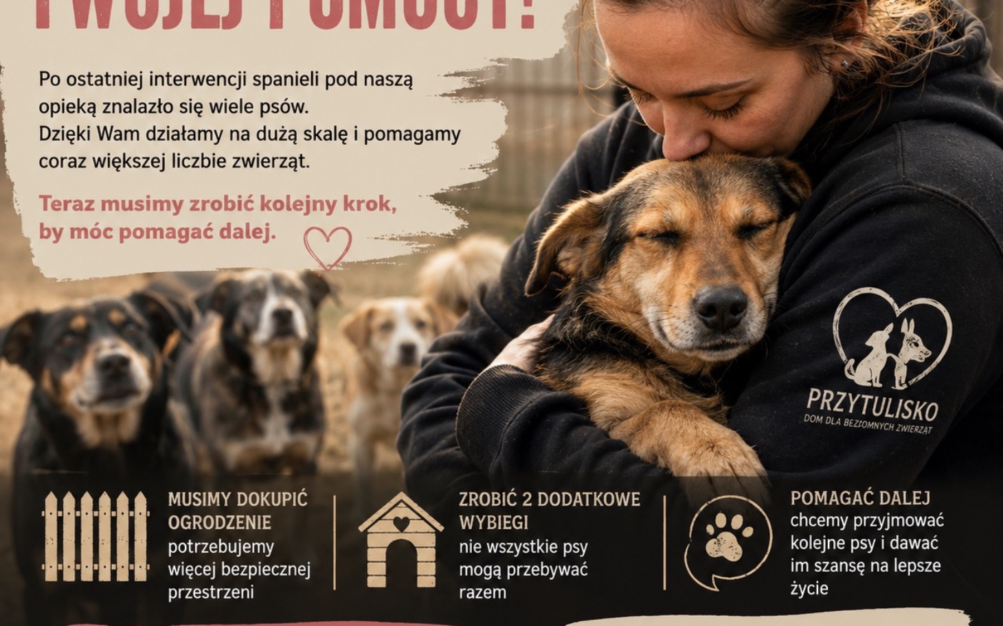 
        Pies w schronisku, potrzebujący wsparcia i miłości.
    