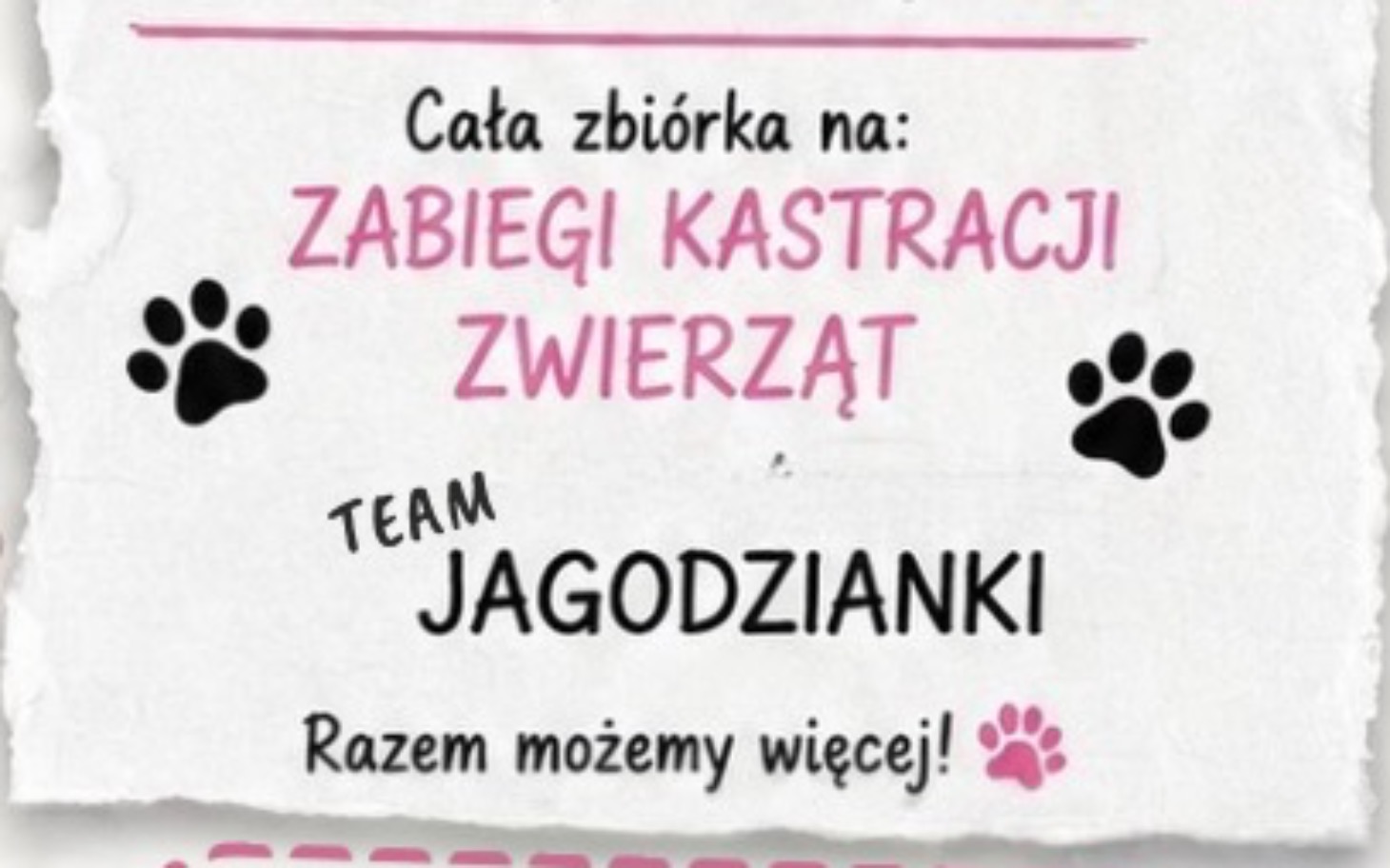 
        Plakat informujący o zbiórce na kastrację zwierząt.
    