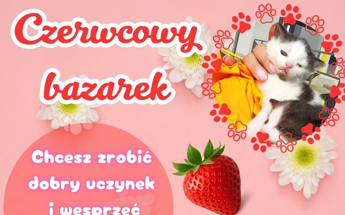 
        Plakat z kotami i napisem o bazarku charytatywnym.
    