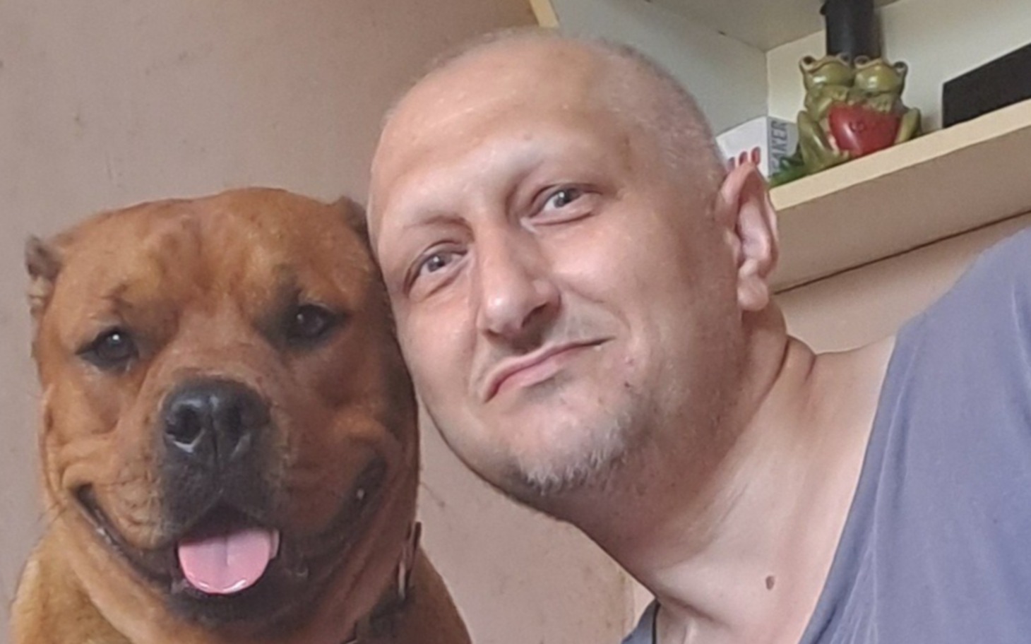 
        Duża twarz kota w kadrze ze skupionym spojrzeniem.
    