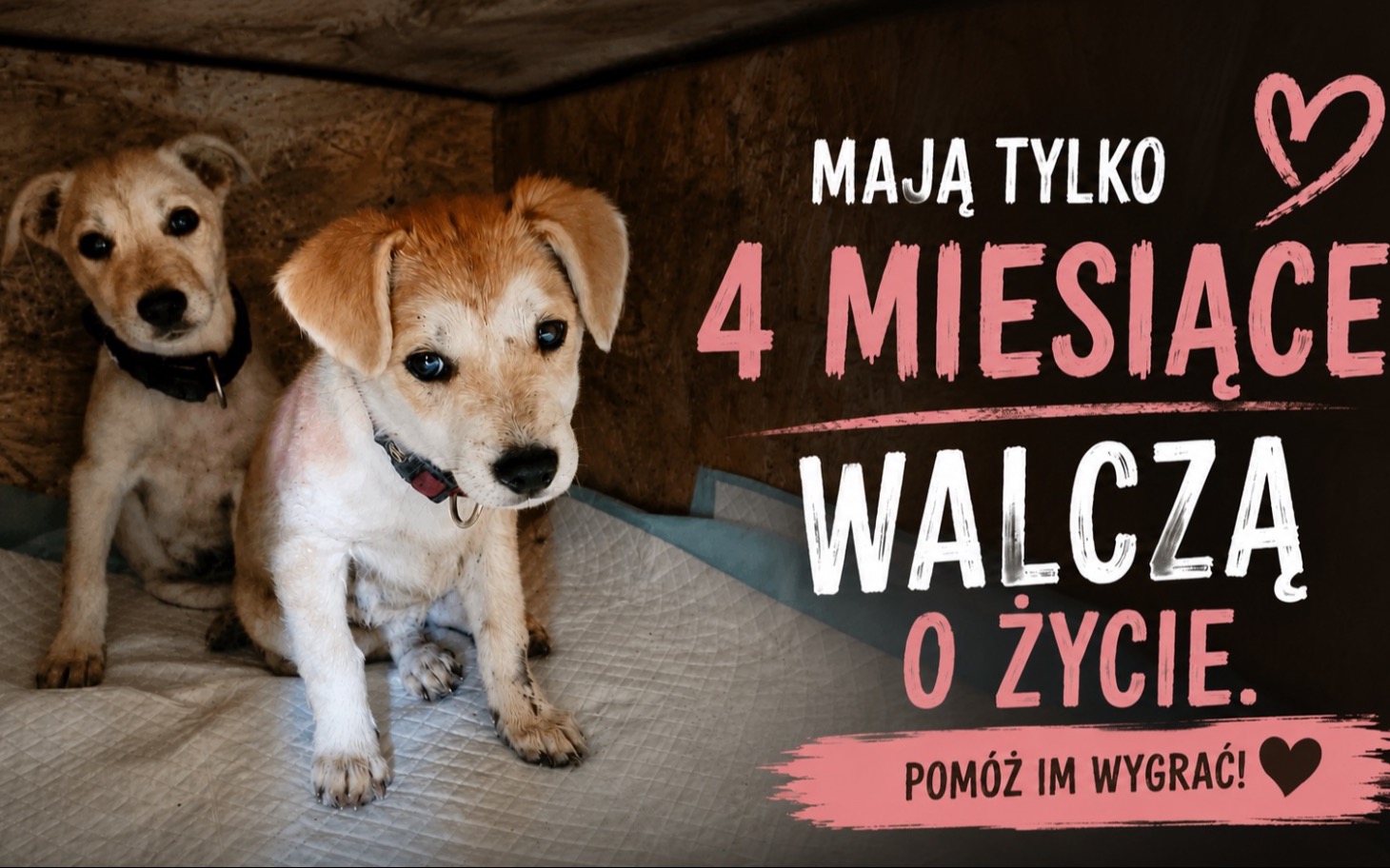 Biegnący po boisku zawodnik, w tle trawa i siatka bramkowa.
