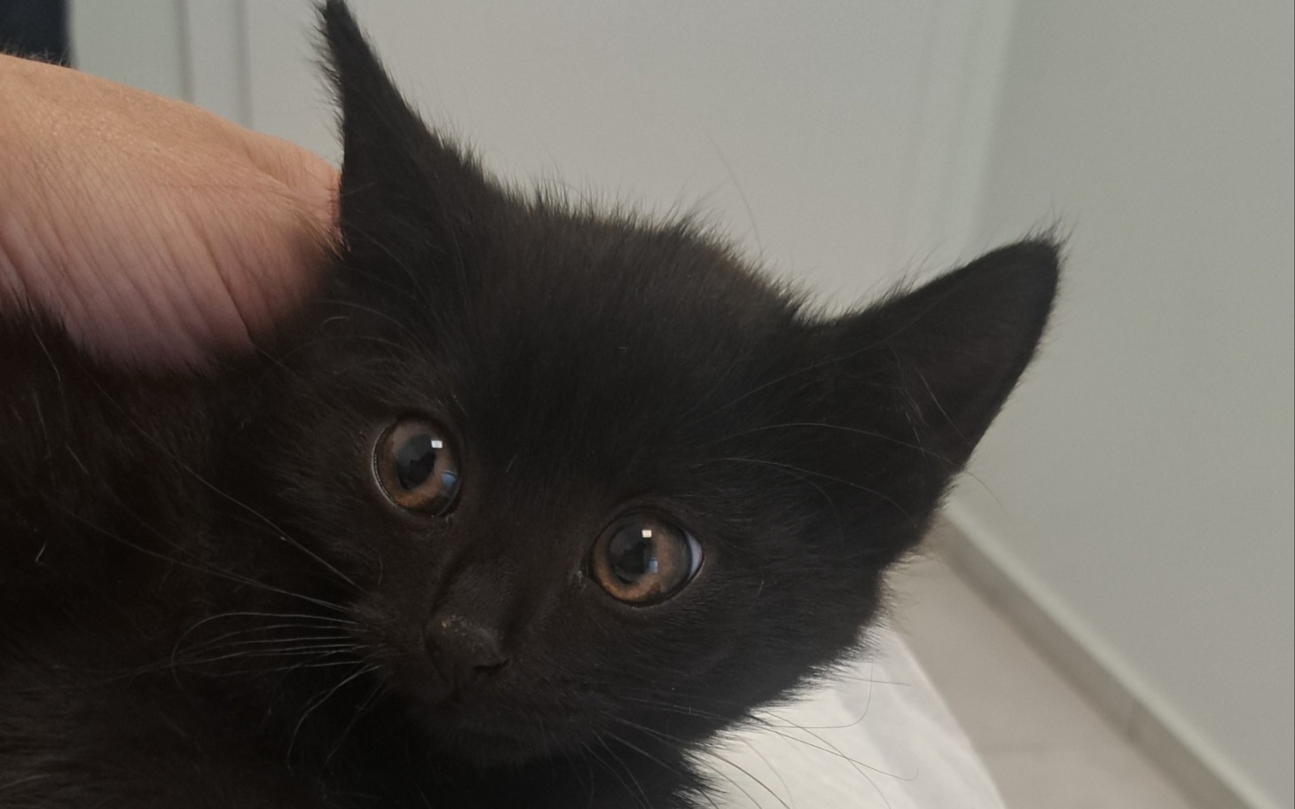 
        Nowoczesne obrazy na zbiorze plakatów i kolorowych monitorach.
    