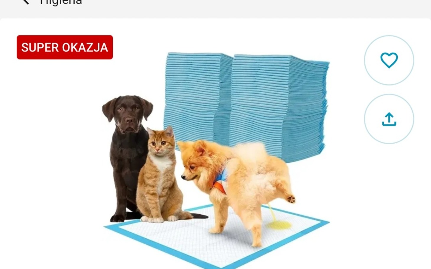 
        Grafika z zestawem porzędników domowych i kotów, kolorowy obrazek.
    