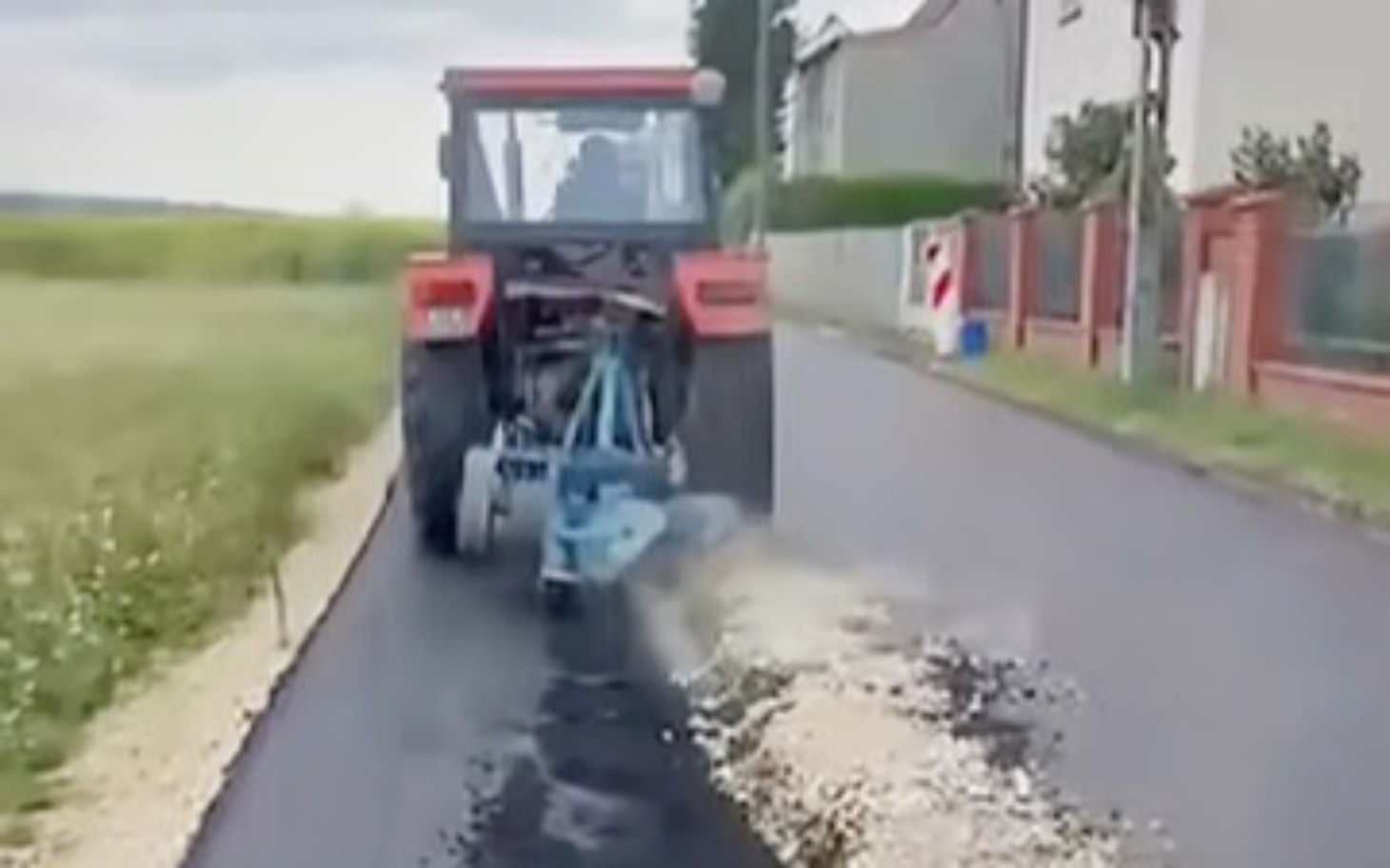 
        Duzy grafik promujący targi i akcje zdrowotne w plakatach.
    