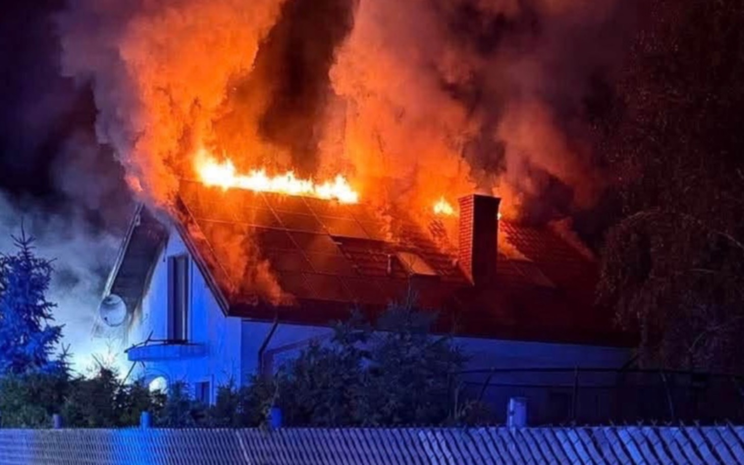 
        Małe oko kota w okółek, piękne spojrzenie.
    