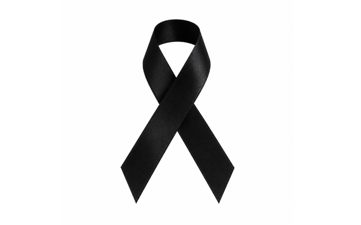 
        Ręce okulistów badające kota; zabiegi diagnostyczne.
    