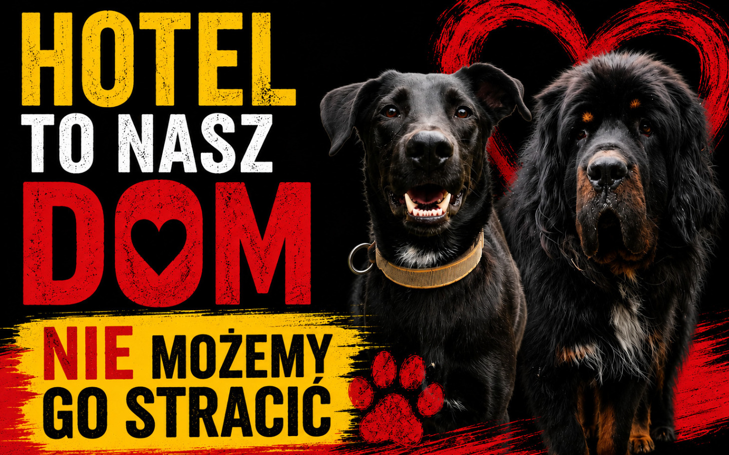 
        Odsłonięta rąk i podbiegi, kobieta z krótkimi włosami
    