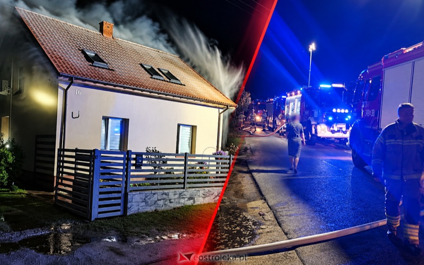 
        Pies rasy beagle na świeżym powietrzu, dumnie patrzy w kamerę.
    