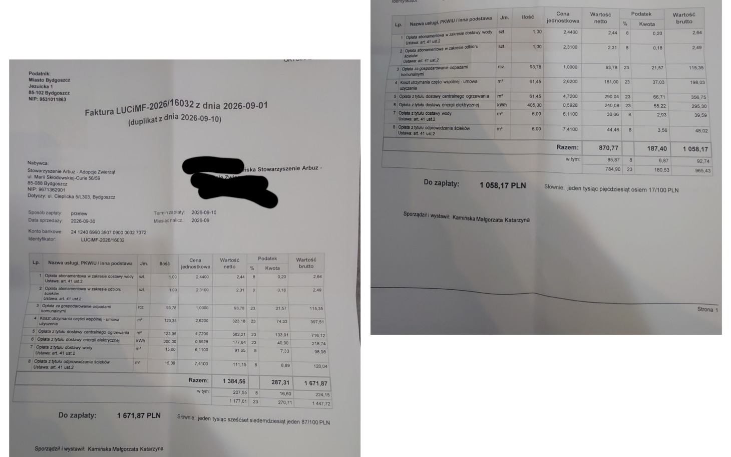 
        Pies na zdjęciu, skupiony wzrok, czarne futro.
    