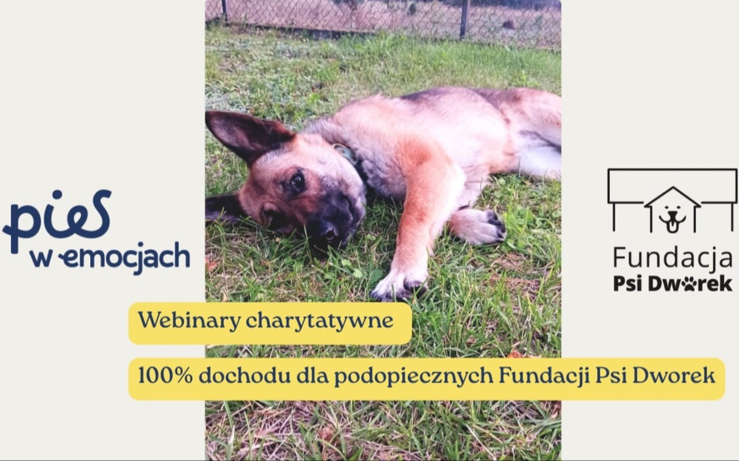 
        Pies w akcjach pomocowych, leżący na trawie, z logo fundacji
    