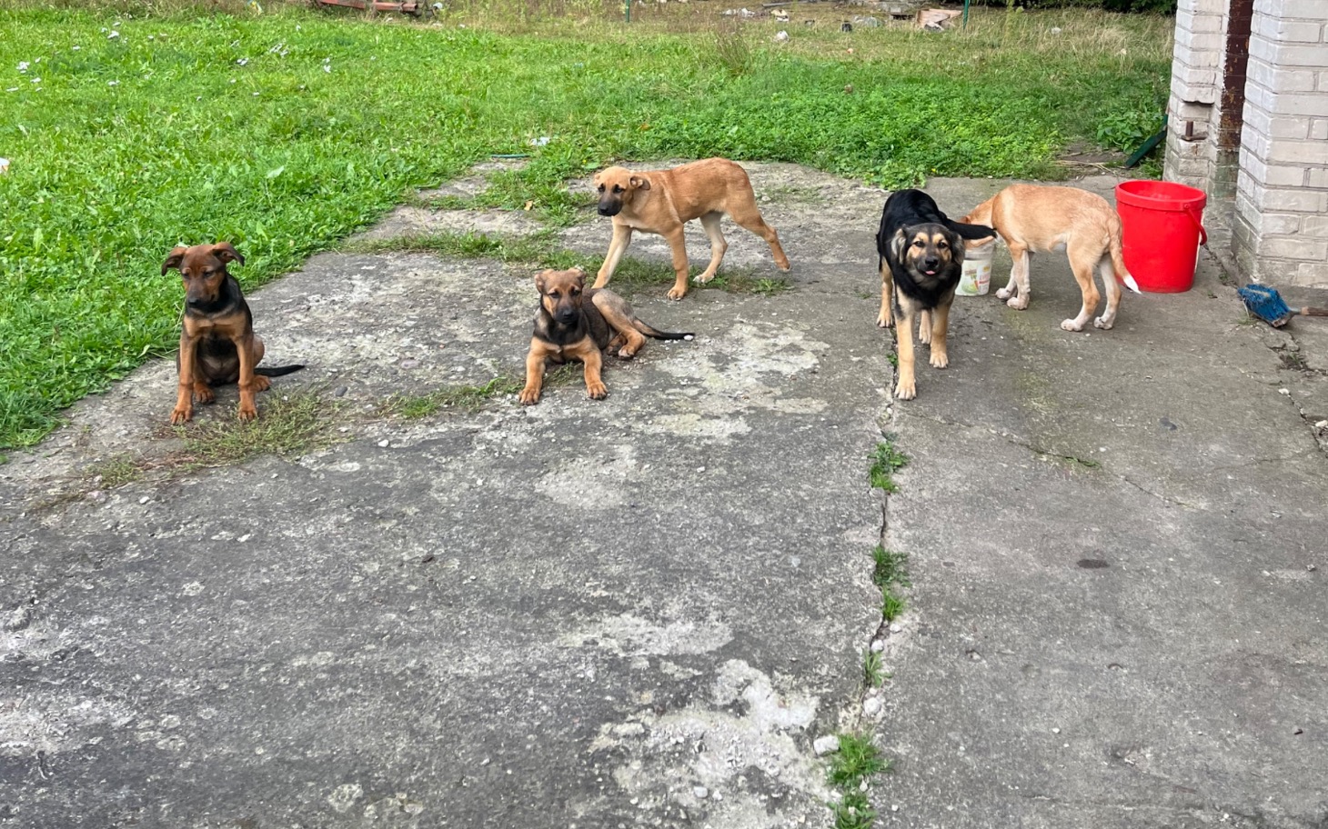 
        Kobieta z dzieckiem na selfie w domu
    