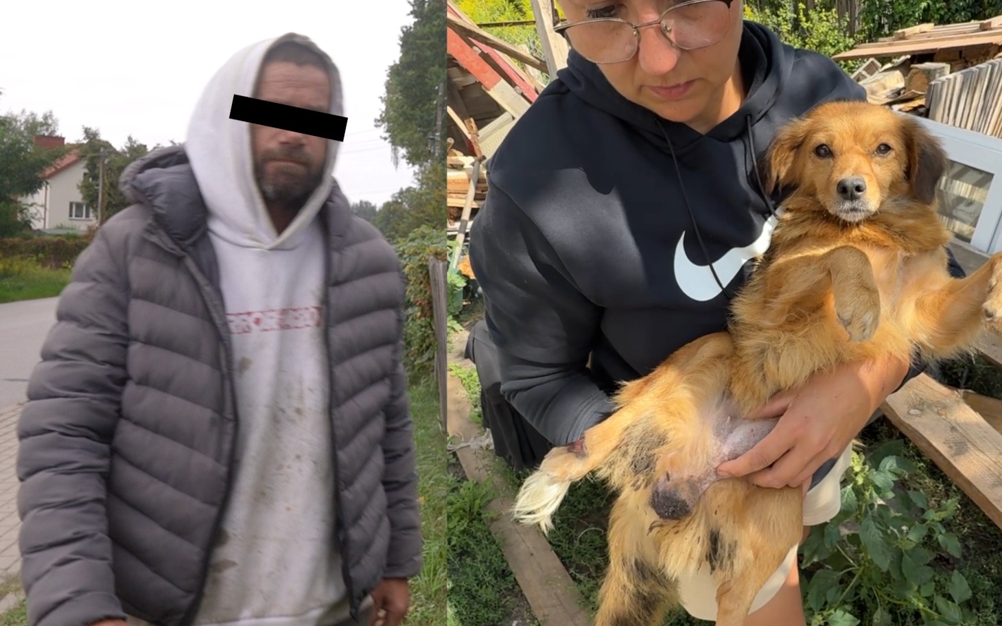 
        Kociaki w miseczkach, wesoła scena z różowymi doniczkami.
    