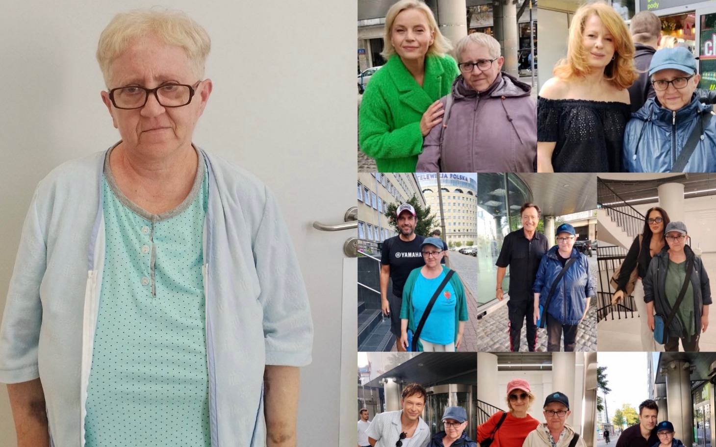 
        Koty zigraniczne w kociarni z suszonymi drapakami i legowiskami.
    