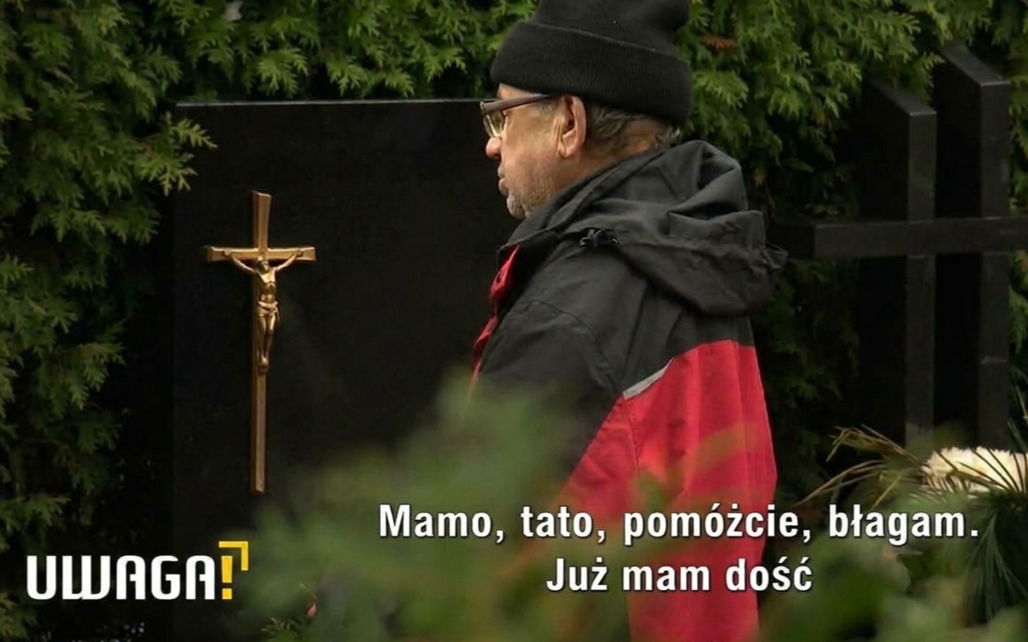 
        Zbliżenie na łapę psa z pazurem
    