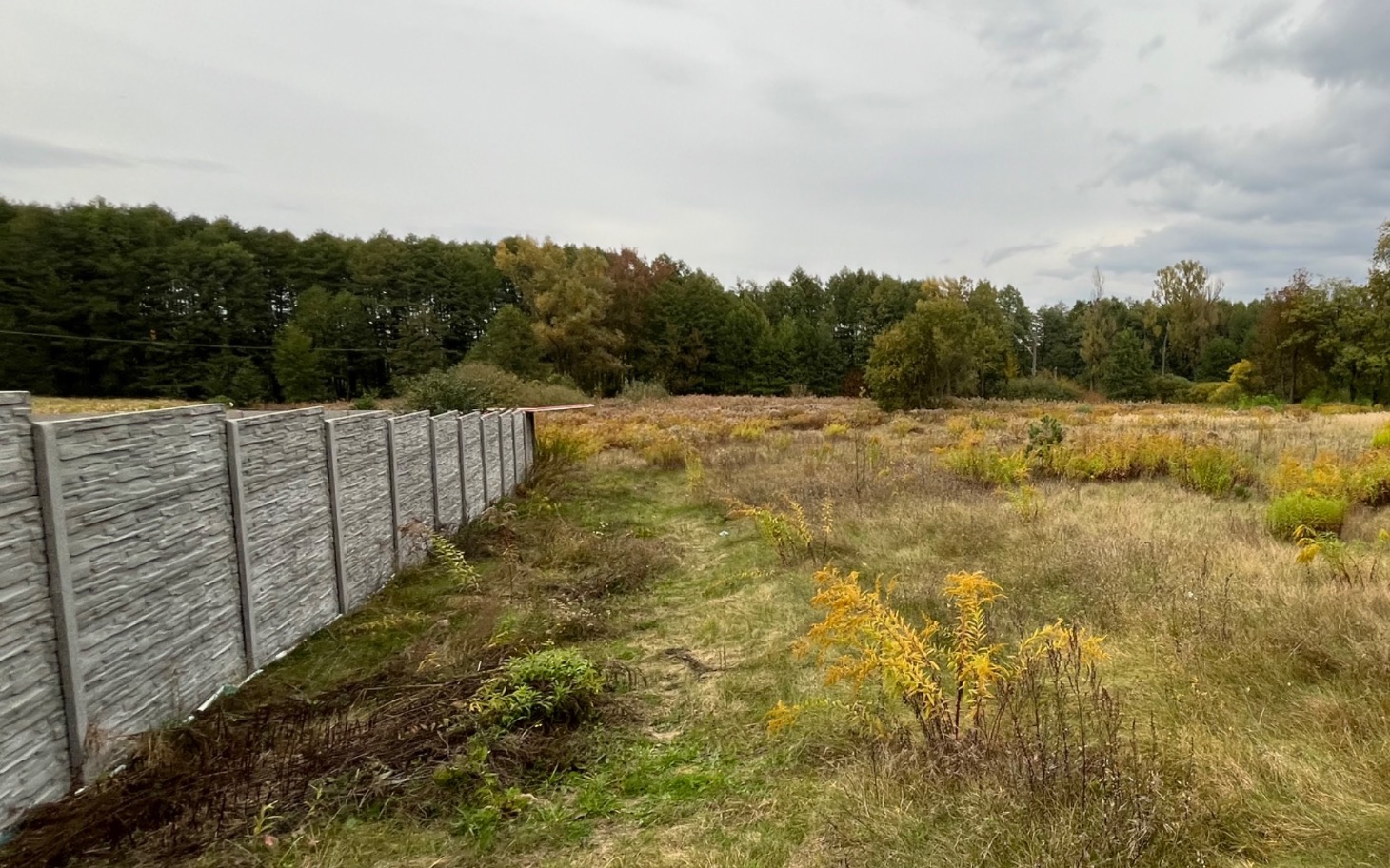 
        Widok na teren z chwiejnie zielenią i krzewami
    