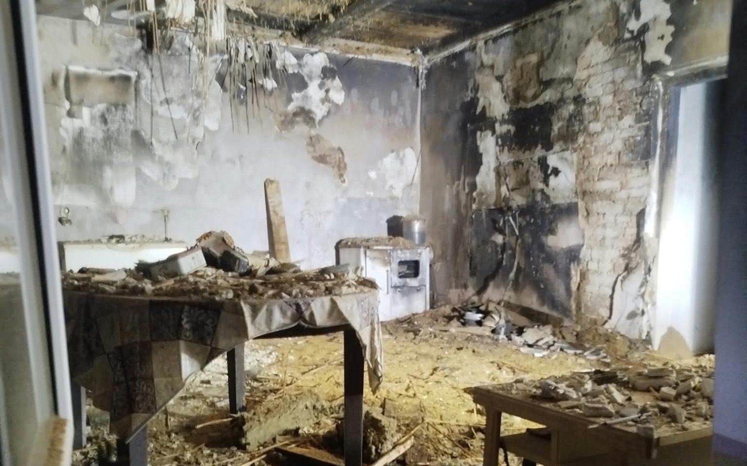 
        Przytulny koci za, biało-brązowy futrzak odpoczywa na dywanie.
    