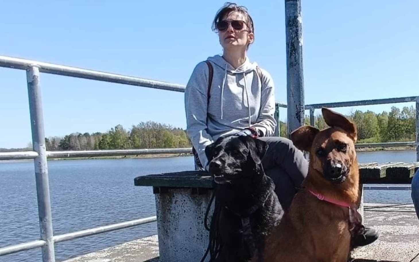 
        Człowiek z pieskami na molo nad wodą w słoneczny dzień.
    