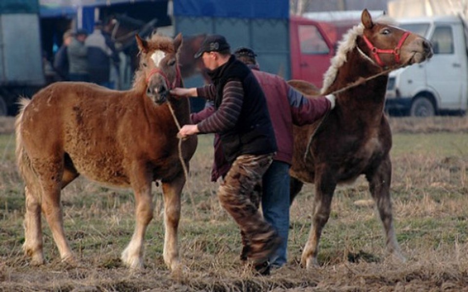 
        Zbiórka Wstępy 2019 - zdjęcie główne
    