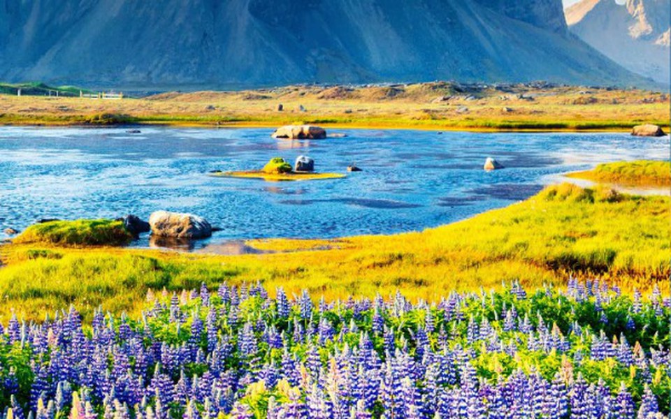 
        Zbiórka Nowe auto 1 - zdjęcie główne
    